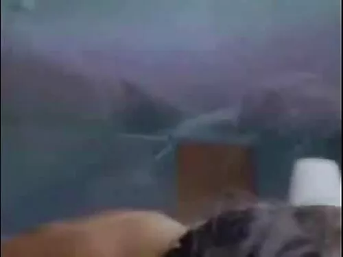 Suge păsărică video  ...